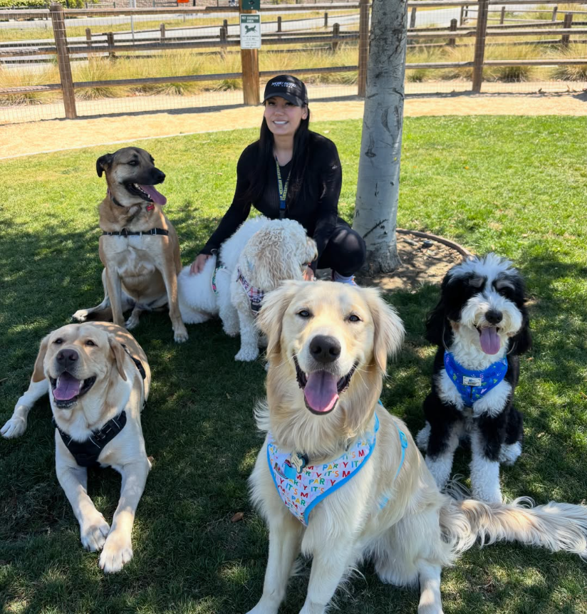 Wendy, founder of OC Paw House, with a golden retriever at golden hour